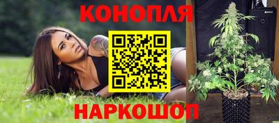 PSILOCYBIN Краснодар