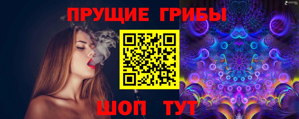 Галлюциногенные грибы прущие грибы Кингисепп