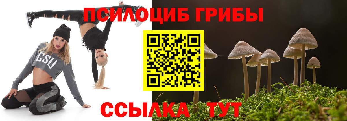 закладки  Галлюциногенные грибы прущие грибы  Вход с VPN  Кингисепп 