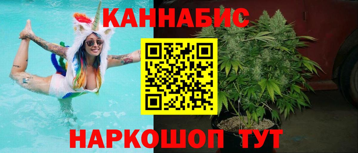 МАРИХУАНА семена Кингисепп